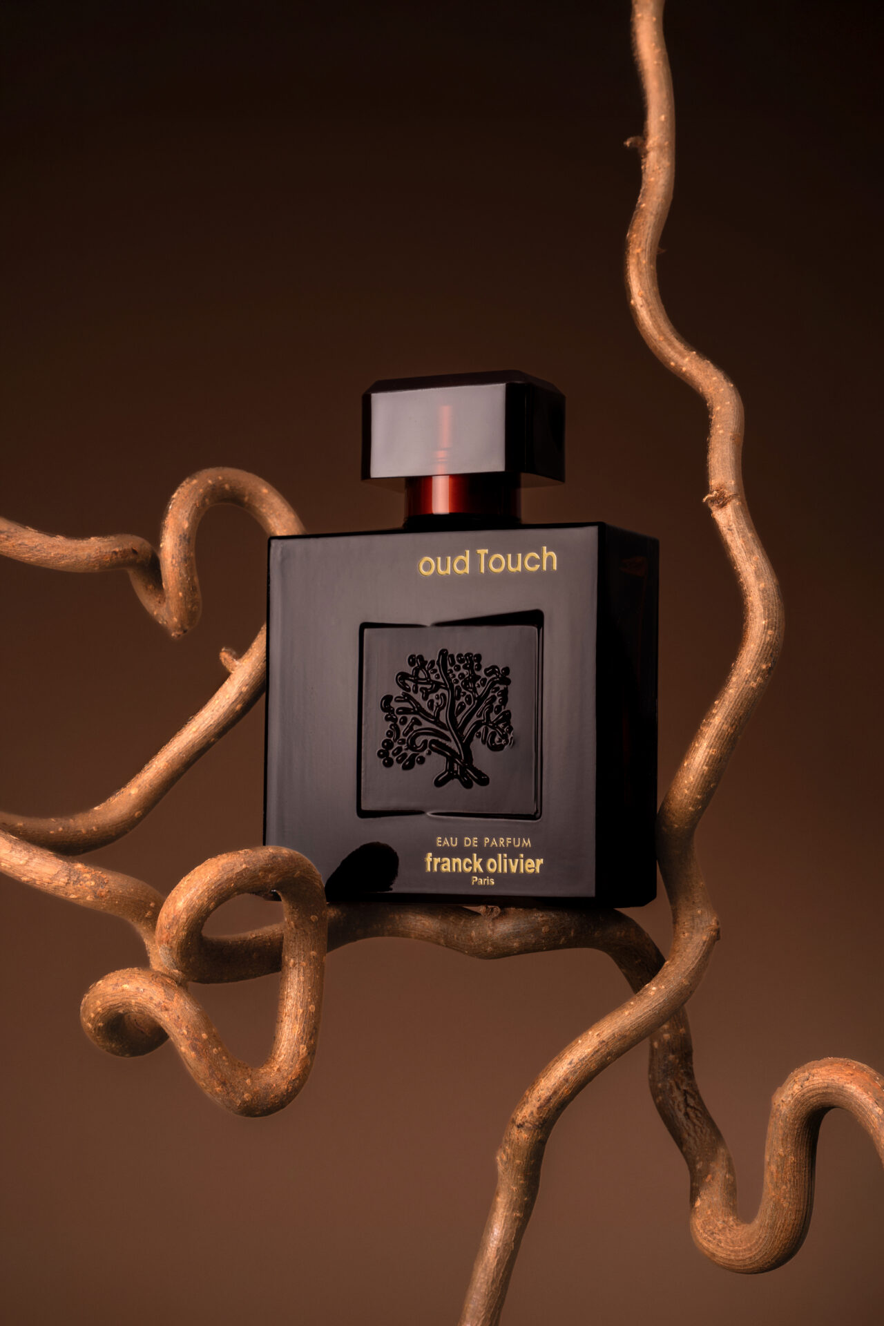 OUD TOUCH FRANCK OLIVIER